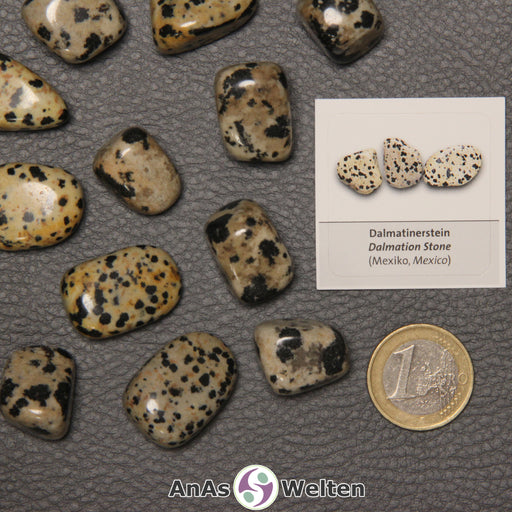 Mehrere Beispiele für den Dalmatinerstein Trommelstein. Daneben liegt der Sticker.