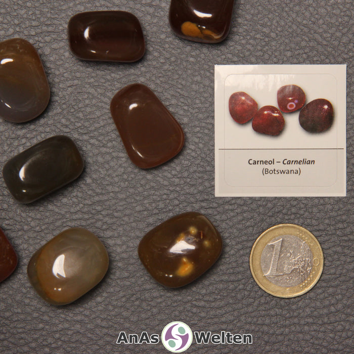 Mehrere Beispiele für den Karneol Trommelstein. Daneben liegt der Sticker.