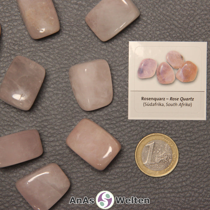 Mehrere Beispiele für den Rosenquarz Trommelstein. Daneben liegt der Sticker.
