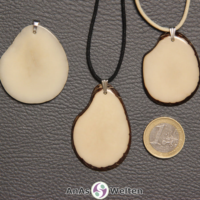 Drei naturfarbene Tagua-Nuss-Scheiben mit Metallöse. Zwei sind an einem schwarzen bzw. beigen Baumwollband.