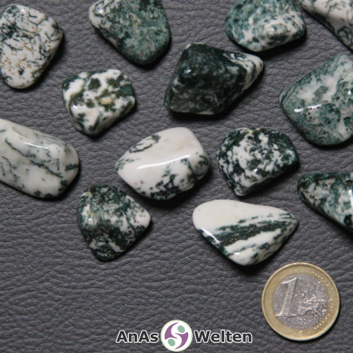 Das Bild zeigt mehrere Beispiele für einen Baumachat Trommelstein. Die Steine sind alle dunkelgrün und weiß, während bei einigen der weiße und bei anderen der dunkelgrüne Anteil überwiegt.
