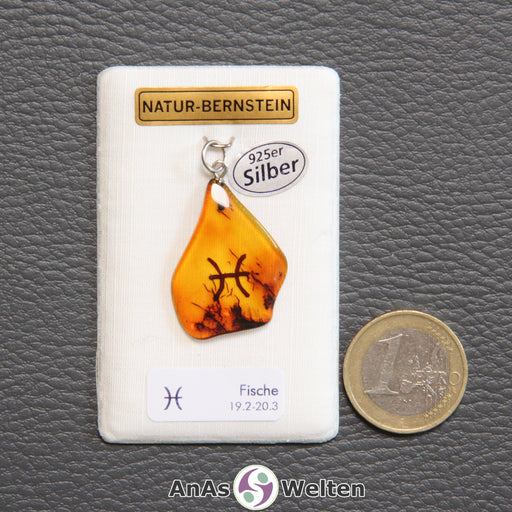 Ein Bernstein Anhänger Fische mit Silberöse an einem Display. Das Sternzeichen ist in den Bernstein eingebrannt.