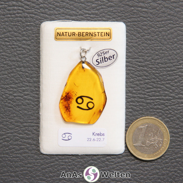 Ein Bernstein Anhänger Krebs mit Silberöse an einem Display. Das Sternzeichen ist in den Bernstein eingebrannt.