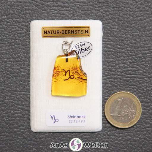 Ein Bernstein Anhänger Steinbock mit Silberöse an einem Display. Das Sternzeichen ist in den Bernstein eingebrannt.