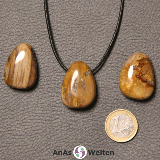 Drei braune versteinertes Holz gebohrte Trommelsteine nebeneinander. Einer befindet sich an einem schwarzen gewachsten Baumwollband.