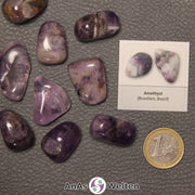 Mehrere Beispiele für den Amethyst Trommelstein. Daneben liegt der Sticker.