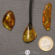 Drei gold-braune Bernstein gebohrte Trommelsteine nebeneinander. Einer befindet sich an einem schwarzen gewachsten Baumwollband.