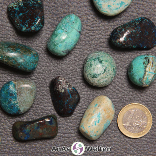 Das Bild zeigt einen Chrysokoll Trommelstein anhand mehrerer Beispiele. Die Steine haben alle einen kleinen bis größeren Türkisanteil. Ansonsten sind sie dunkelblau, grau und/oder hellbraun in unterschiedlichsten Musterungen.