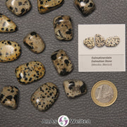 Mehrere Beispiele für den Dalmatinerstein Trommelstein. Daneben liegt der Sticker.