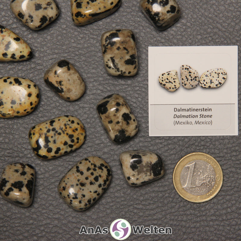 Mehrere Beispiele für den Dalmatinerstein Trommelstein. Daneben liegt der Sticker.