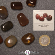 Mehrere Beispiele für den Karneol Trommelstein. Daneben liegt der Sticker.