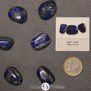 Mehrere Beispiele für den Lapislazuli Trommelstein. Daneben liegt der Sticker.