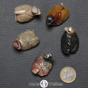 Fünf verschiedene Speckstein Enten klein, anhand derer man einige verschiedene Färbungen von Speckstein sehen kann.