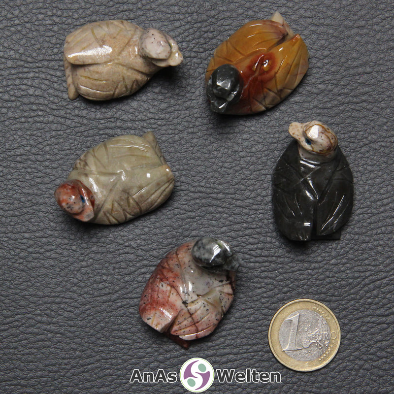 Fünf verschiedene Speckstein Enten klein, anhand derer man einige verschiedene Färbungen von Speckstein sehen kann.