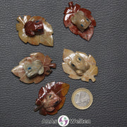 Fünf verschiedene Speckstein Frösche auf Blatt klein, anhand derer man einige verschiedene Färbungen von Speckstein sehen kann.