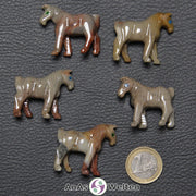 Fünf verschiedene Speckstein Pferde klein, anhand derer man einige verschiedene Färbungen von Speckstein sehen kann.