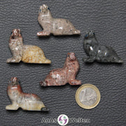 Fünf verschiedene Speckstein Robben klein, anhand derer man einige verschiedene Färbungen von Speckstein sehen kann.