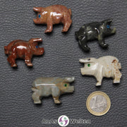 Fünf verschiedene Speckstein Schweine klein, anhand derer man einige verschiedene Färbungen von Speckstein sehen kann.