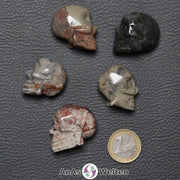 Fünf verschiedene Speckstein Totenköpfe klein, anhand derer man einige verschiedene Färbungen von Speckstein sehen kann.
