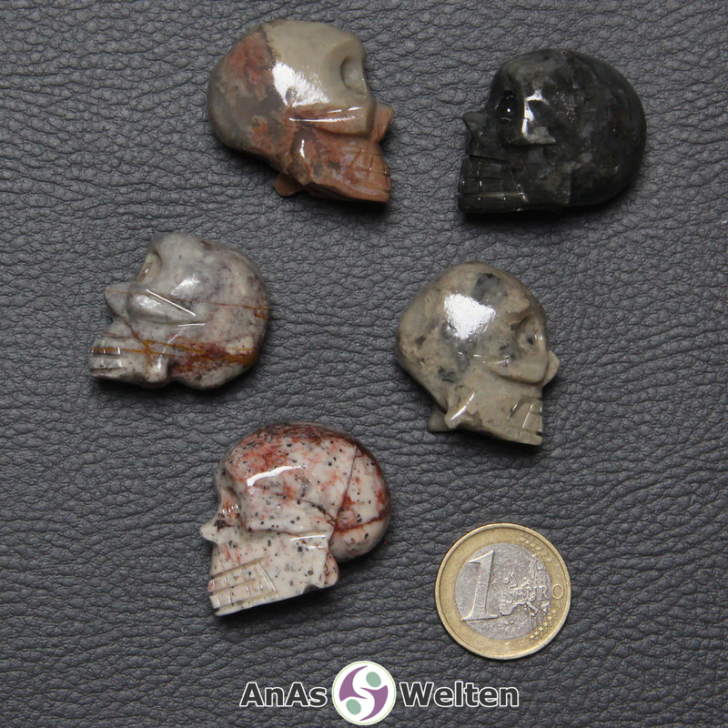 Fünf verschiedene Speckstein Totenköpfe klein, anhand derer man einige verschiedene Färbungen von Speckstein sehen kann.