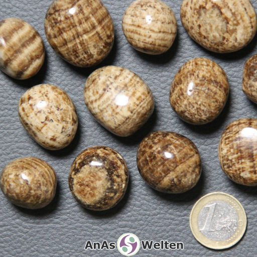 Das Bild zeigt einen Aragonit Trommelstein anhand mehrerer Beispiele. Einige von ihnen sind hauptsächlich hellbraun, andere dunkelbraun, aber sie alle haben eine Musterung aus verschiedenen Brauntönen.