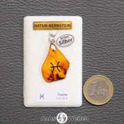 Ein Bernstein Anhänger Fische mit Silberöse an einem Display. Das Sternzeichen ist in den Bernstein eingebrannt.