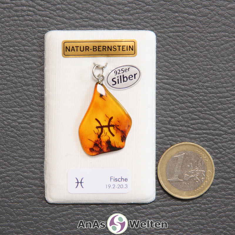 Ein Bernstein Anhänger Fische mit Silberöse an einem Display. Das Sternzeichen ist in den Bernstein eingebrannt.