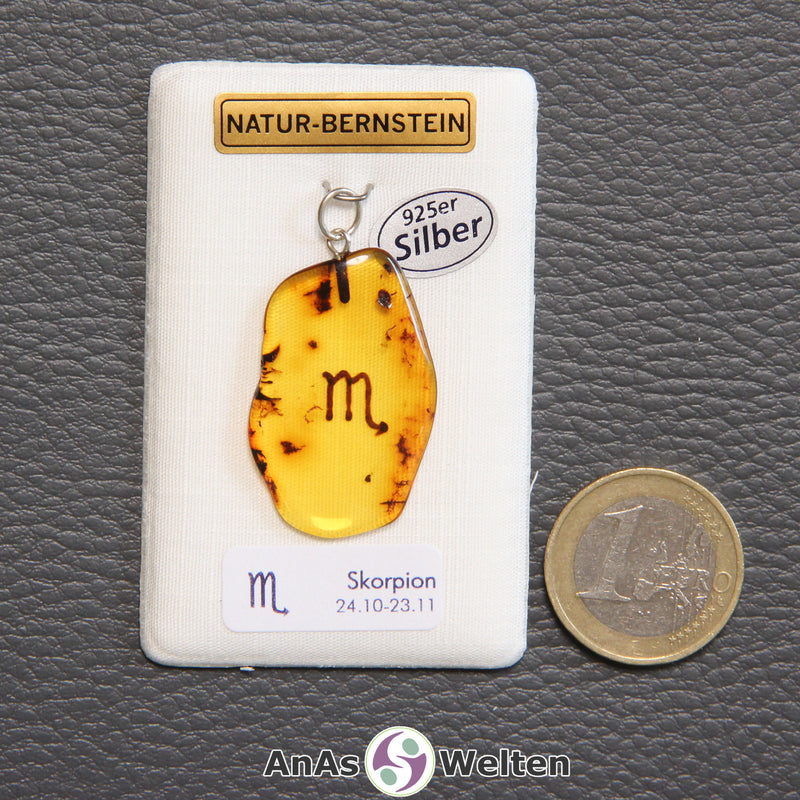Ein Bernstein Anhänger Skorpion mit Silberöse an einem Display. Das Sternzeichen ist in den Bernstein eingebrannt.