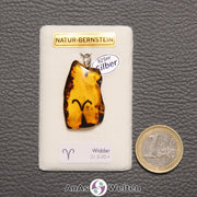 Ein Bernstein Anhänger Widder mit Silberöse an einem Display. Das Sternzeichen ist in den Bernstein eingebrannt.