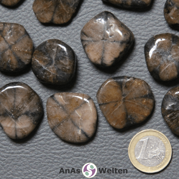 Das Bild zeigt mehrere Beispiele für einen Chiastolith Trommelstein. Die Steine haben eine braune Farbe, die gelegentlich von Beige und Schwarz unterbrochen wird. Außerdem haben sie fast alle ein natürliches schwarzes Kreuz in der Mitte.