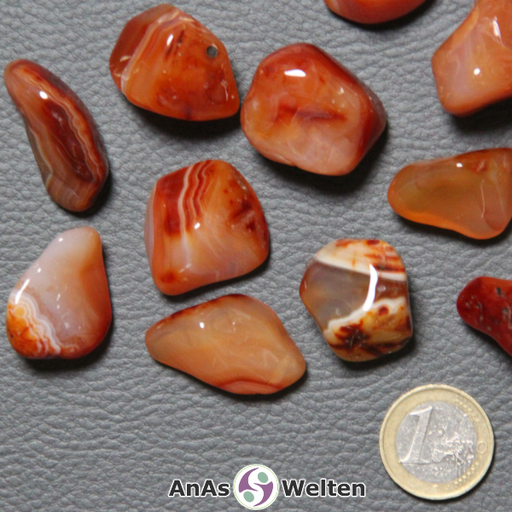 Das Bild zeigt einen Karneol Trommelstein in mehreren Beispielsteinen. Die Edelsteine haben hauptsächlich Rottöne, die von Dunkelrot bis zu einer Lachsfarbe reichen. Es gibt aber auch gelegentliche weiße und grauweiße Färbungen zwischen dem Rot.