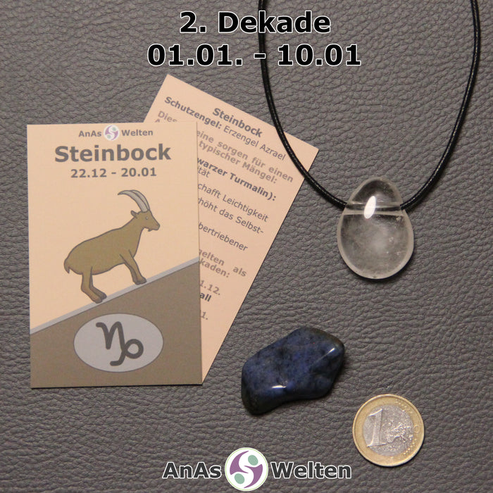 Sternzeichen Steine Set Steinbock