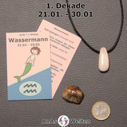 Die Sternzeichenkarte und je ein beispielhafter gebohrter Andenopal Trommelstein am Band und ein Versteinertes Holz Trommelstein der 1. Dekade liegen nebeneinander.