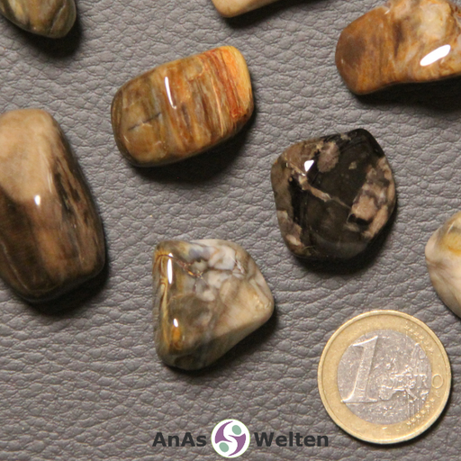 Das Bild zeigt einen versteinertes Holz Trommelstein anhand mehrerer Beispielsteine. Die Edelsteine haben hauptsächlich unterschiedliche Brauntöne als Grundtöne, einigeweisen aber auch Schwarz, Rot- und Grautöne auf. Die Maserung Musterung der Steine erinnert häufig an die Maserung von Bäumen.